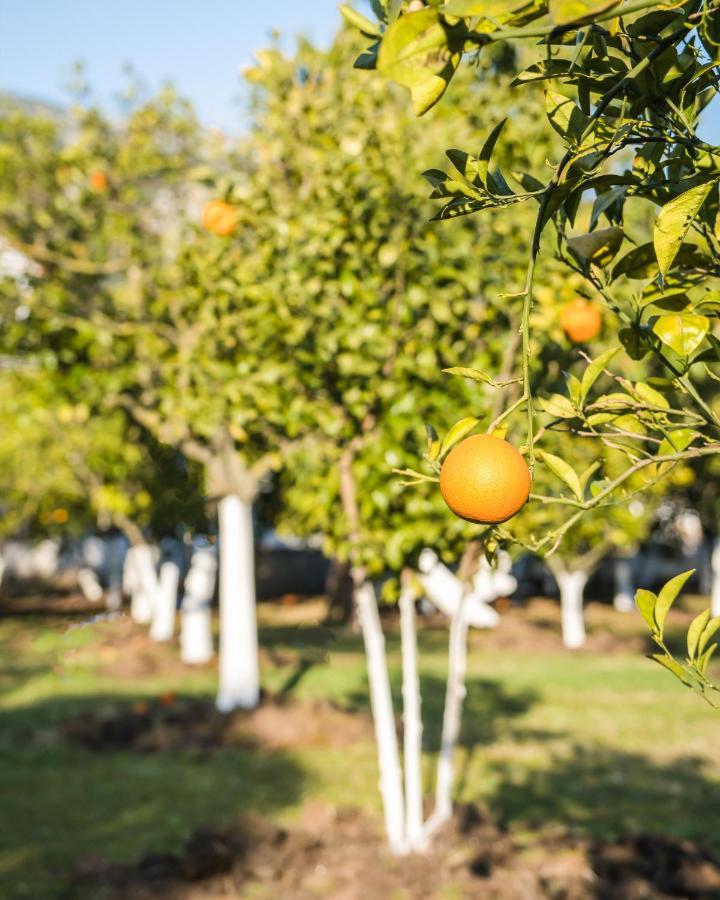 Oase Garden Hotel Çıralı Exteriör bild